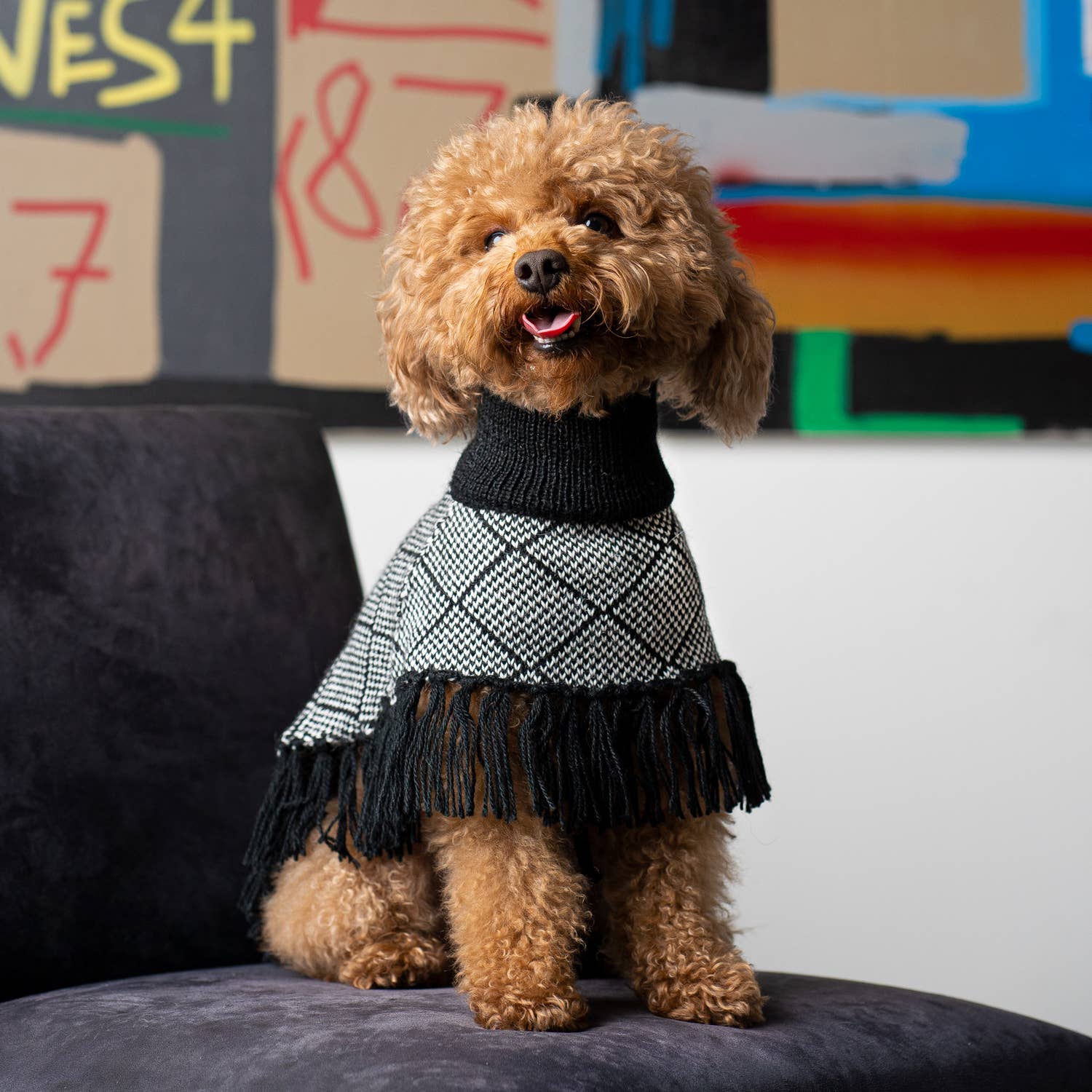 Diamond Black alpaca poncho for dog - Muotitassu