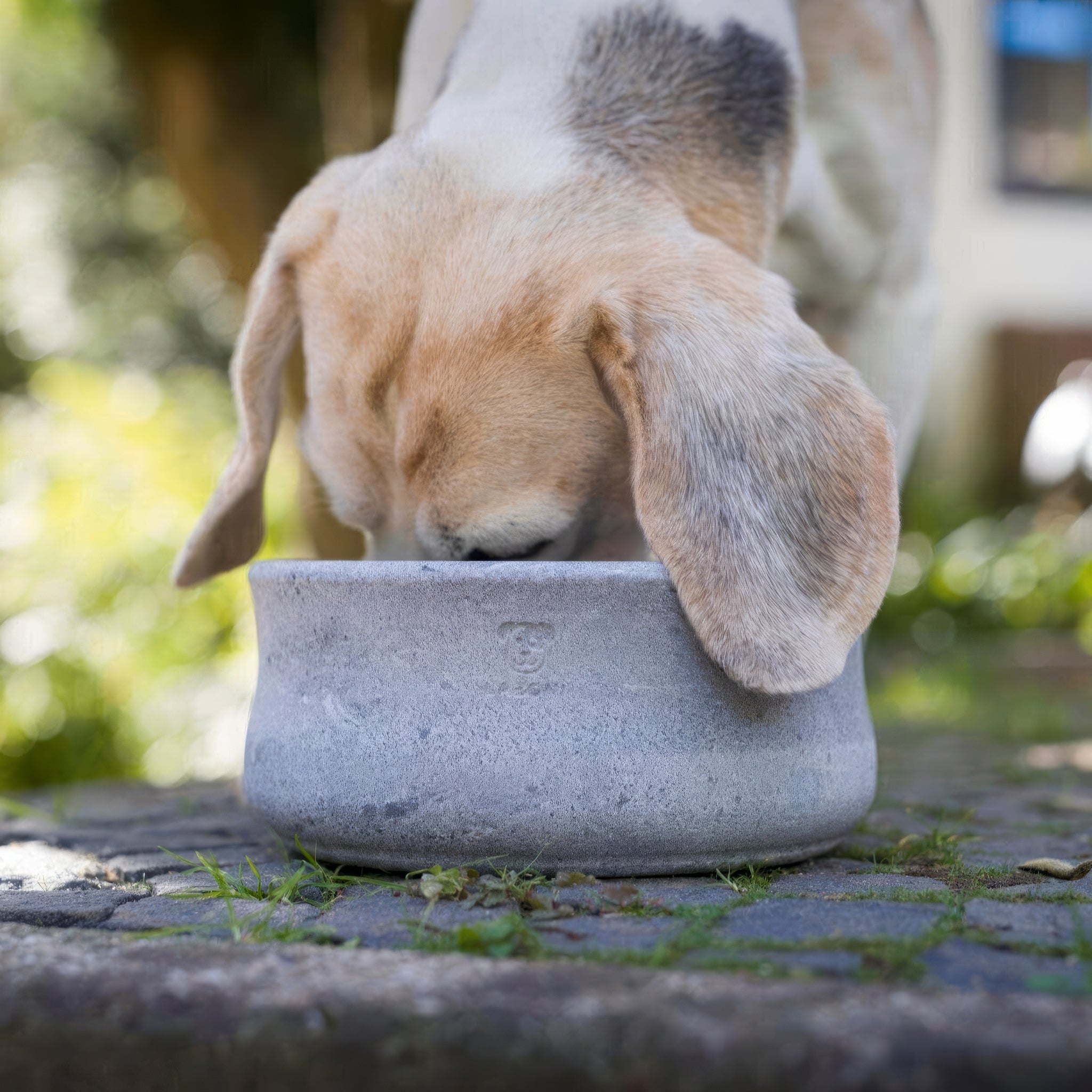 PROLA00265S - Rocky vuolukivi design ruokakulho - Harmaa - 500 ml - Muotitassu