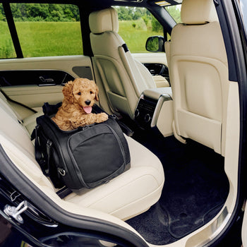 Lemmikin turvallinen automatkustus – Kattava opas - Muotitassu