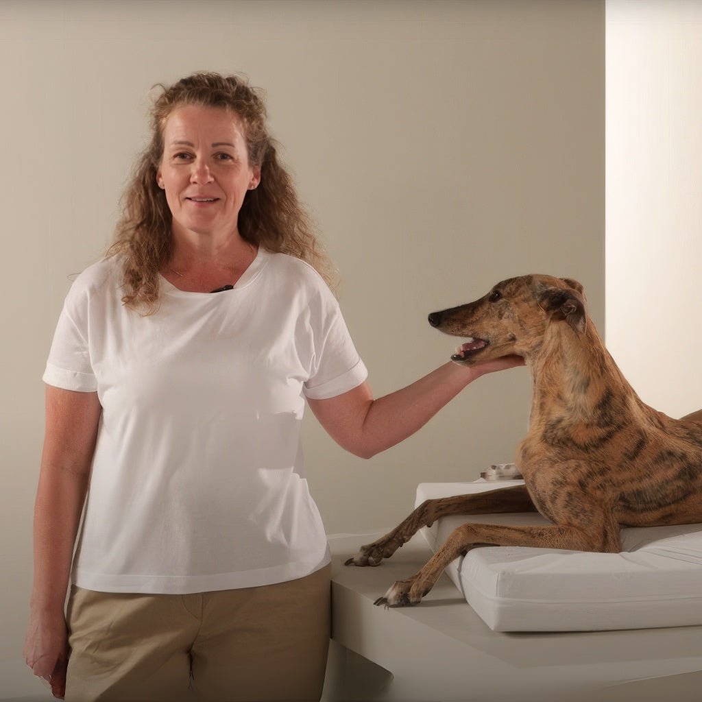Ortopedinen peti parantaa koirasi unen laatua – Claudia Weberin Vinkit - Muotitassu