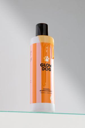 Glow Dog 2-in-1 vitamiinishampoo koiralle 250 ml