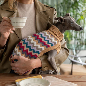 PCAAL05810S - Camel Chevron Knit alpakkaneule koirille - XS - Muotitassu