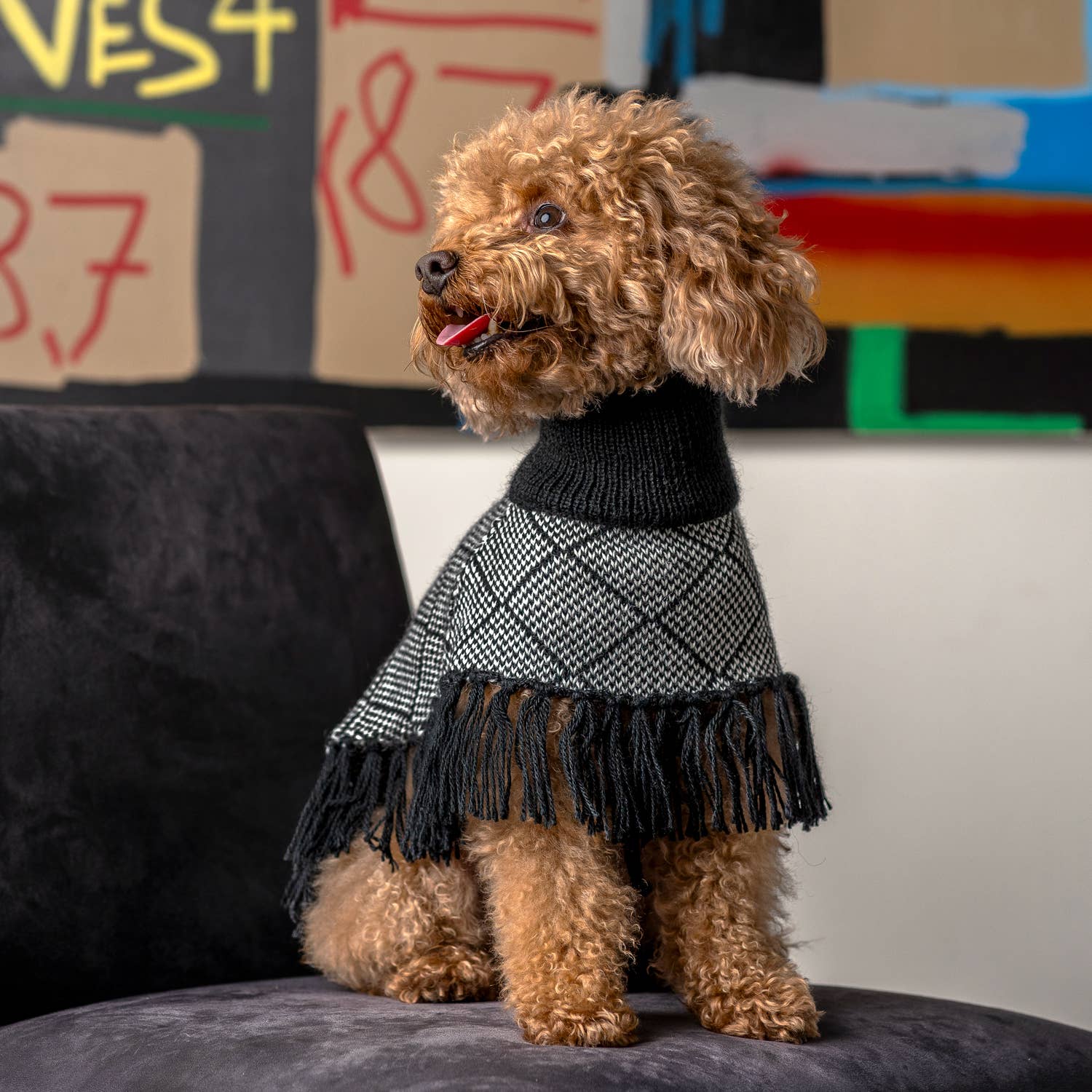 Alqo Wasi – Alpaca Knits for Dogs | Muotitassu