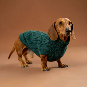 PEMAL05909S - Emerald Green Aran koiran alpakkaneule - L - Muotitassu