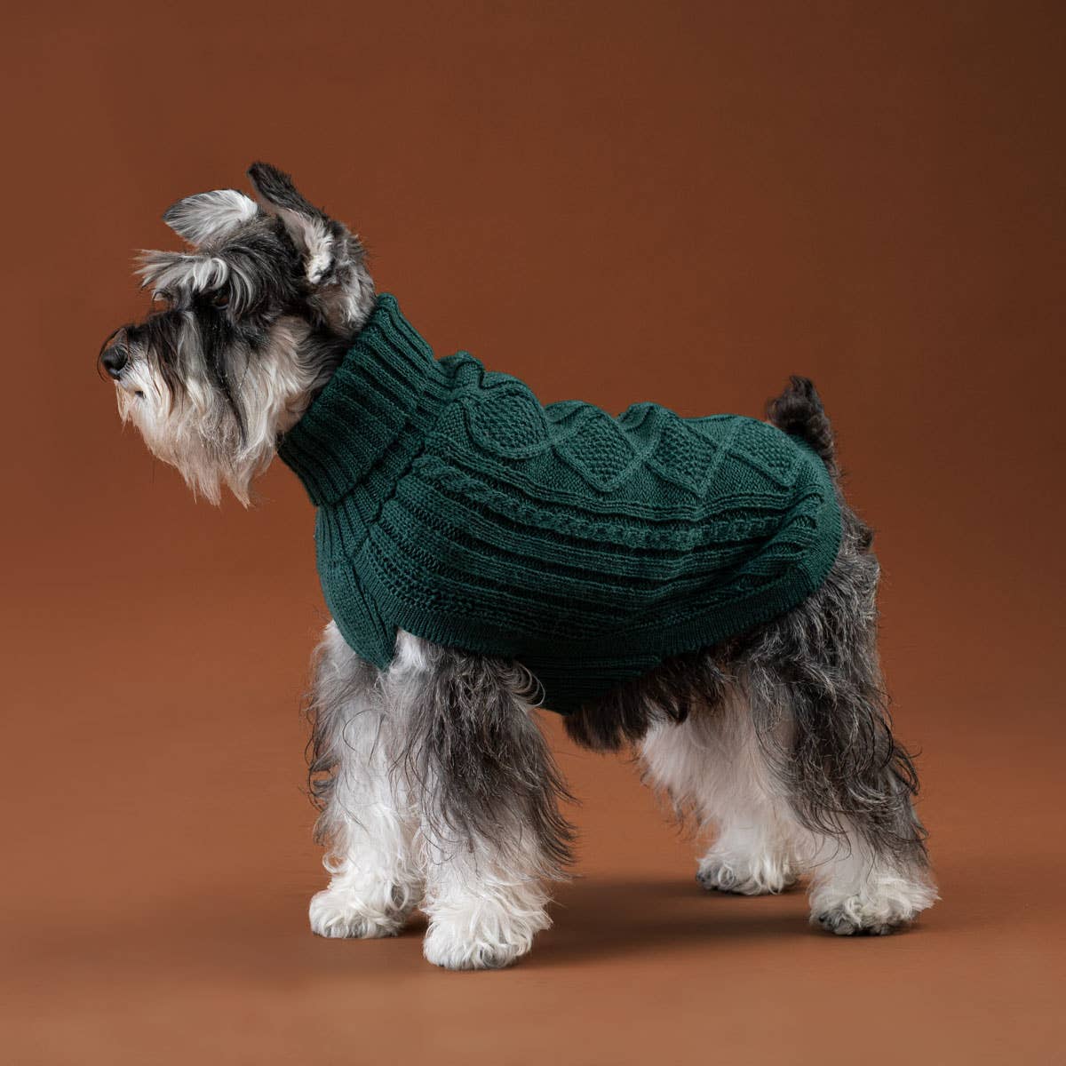 PEMAL05910S - Emerald Green Aran koiran alpakkaneule - XS - Muotitassu