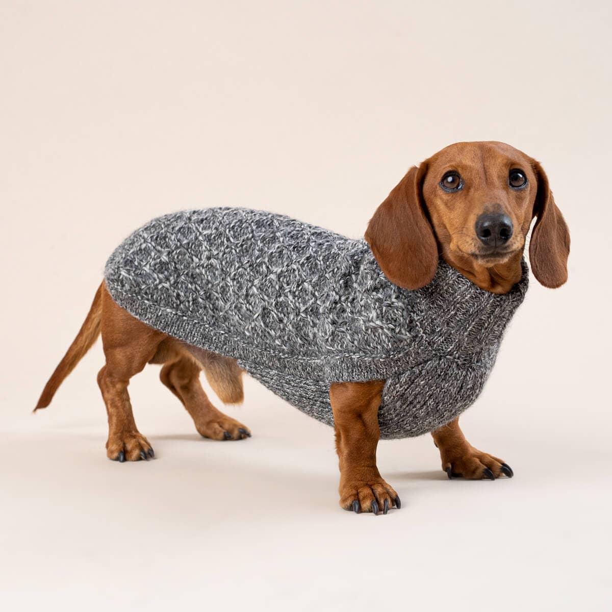 Alqo Wasi – Alpaca knitwear for dogs | Muotitassu