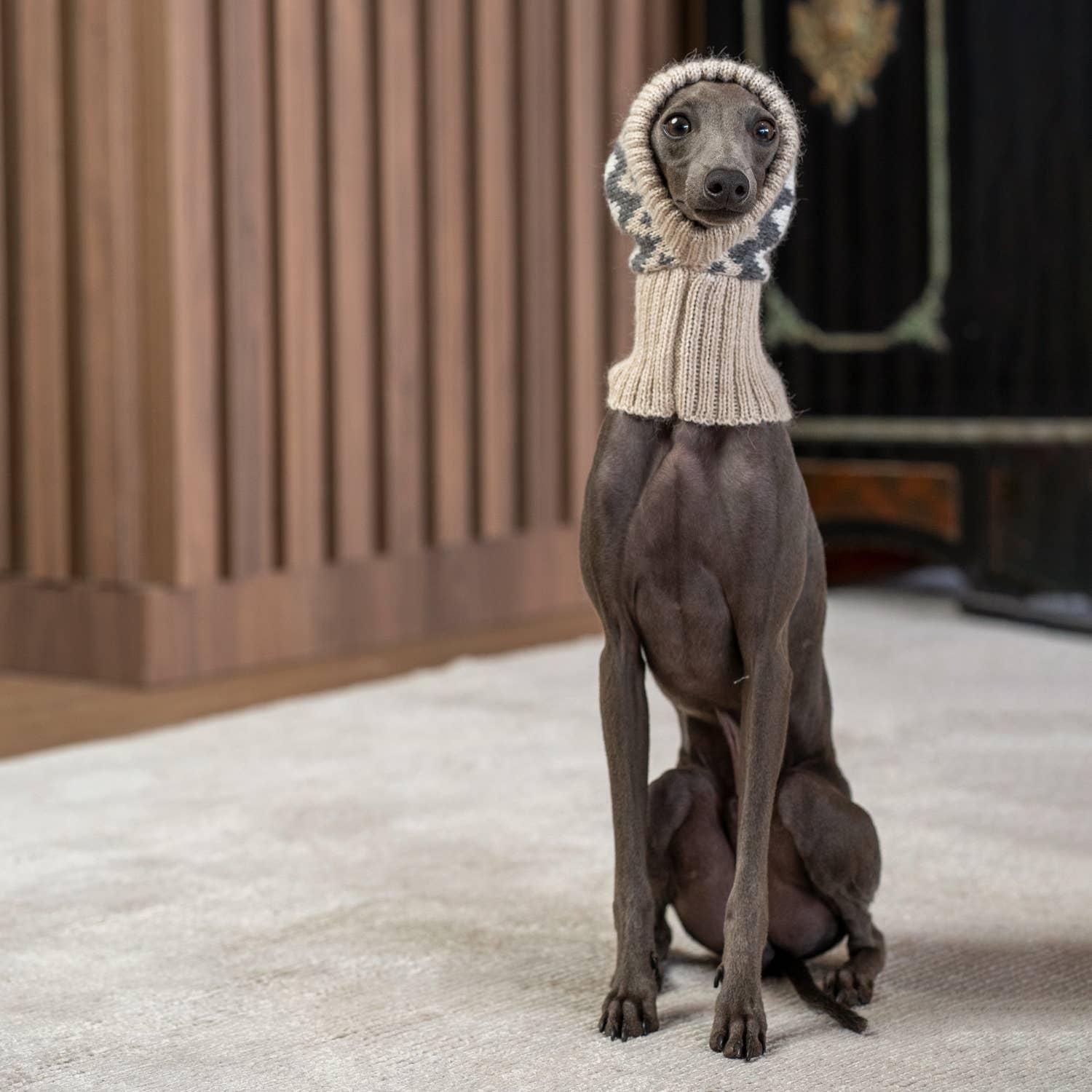 PWOAL05924S - Woolly Winter koiran alpakkapipo - XS - Muotitassu