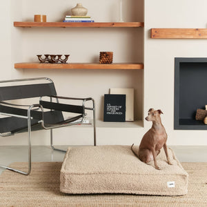 PCUCA05817S - Cuadra koiranpeti - Fleece - Beige - Muotitassu