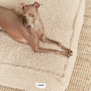PCUCA05817S - Cuadra koiranpeti - Fleece - Beige - Muotitassu