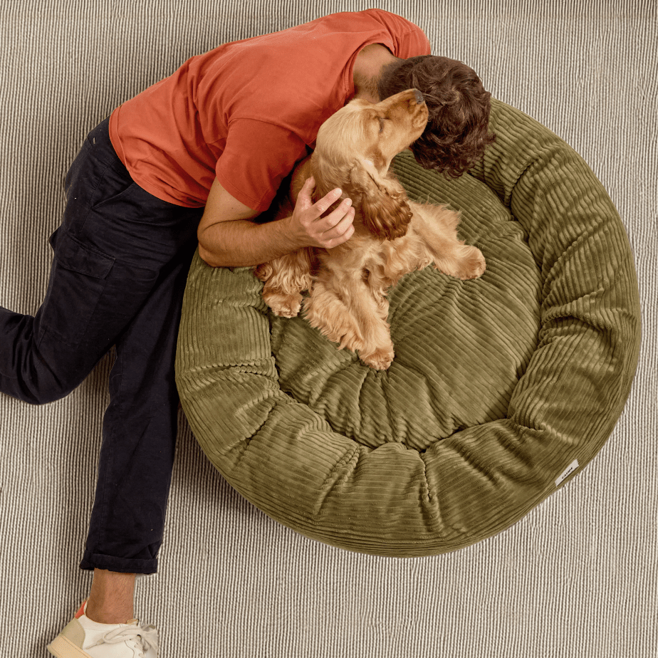 Nuba Hundebett - Cord