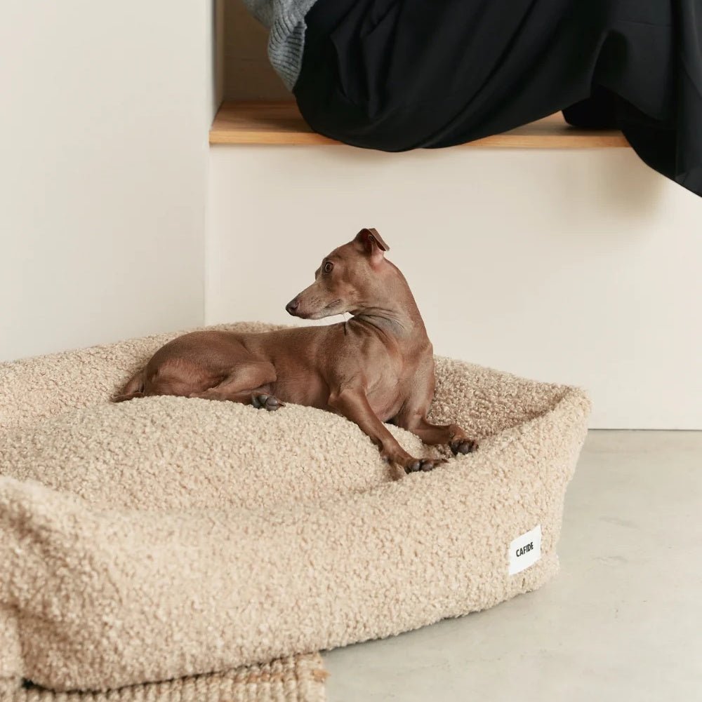 PSNCA05753S - Snozy koiranpeti - Fleece - Beige - Muotitassu