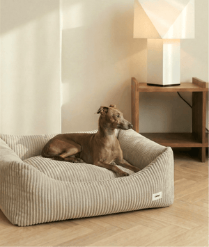 Cafide Snozy koiranpeti - Vakosametti - Beige, koira pedillä