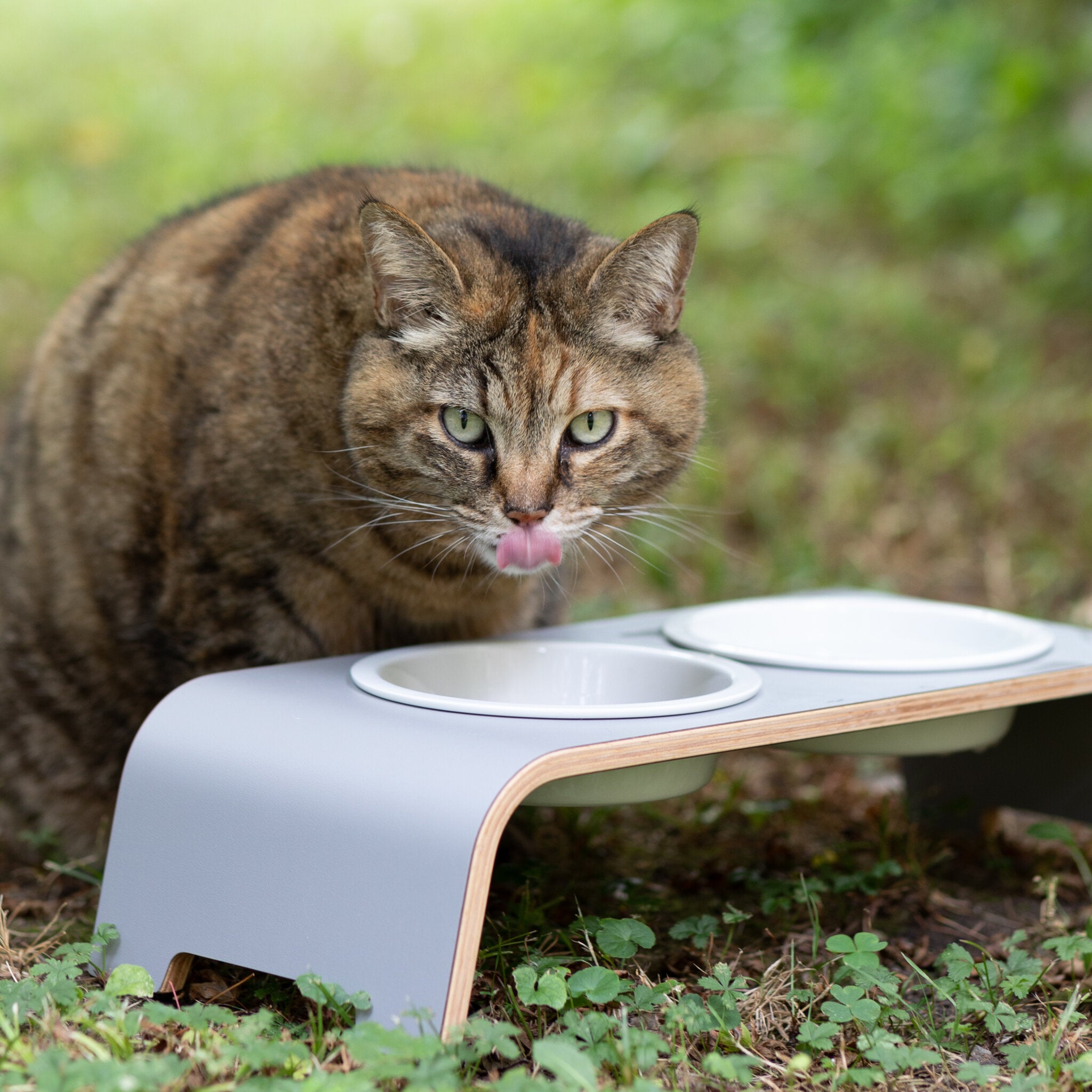 catBar® elevated feeding station for cats - Gray