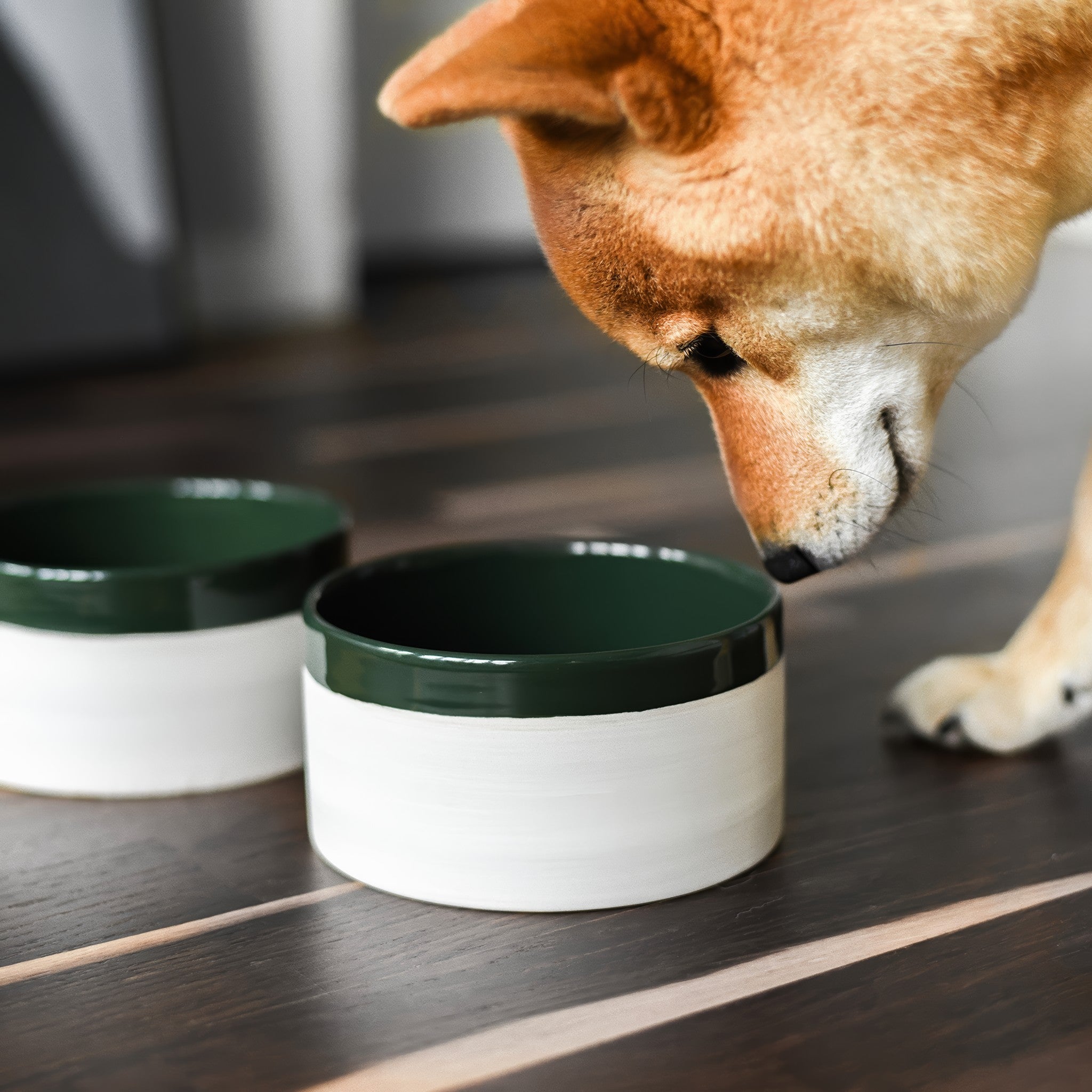 PRUDE05827S - Ruokakulho - Mateus x Denjo - Forest Green - Muotitassu