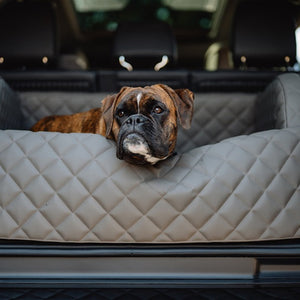 DogStyler Trunkbed Excellent - Italian Grey lifestyle koiran kanssa