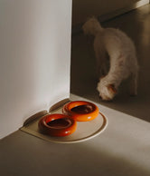 Ruskeat posliinikulhot koiralle ruokailualustalla kodin nurkassa