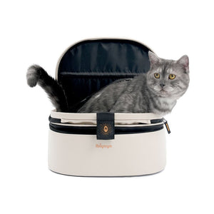 Ibiyaya Panorama Butter Milk sivulta