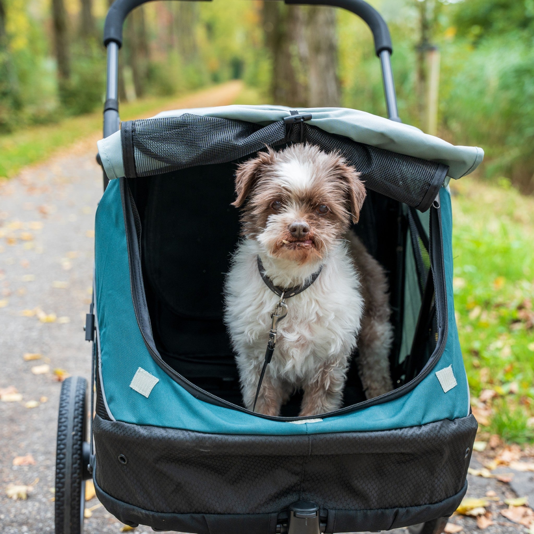 InnoPet Noah dog stroller