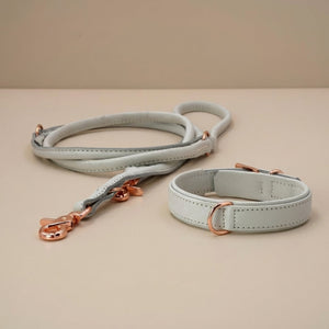 PAMLA00082S - Amici kaulapanta + hihna setti - Vaalean harmaa - XS - Muotitassu