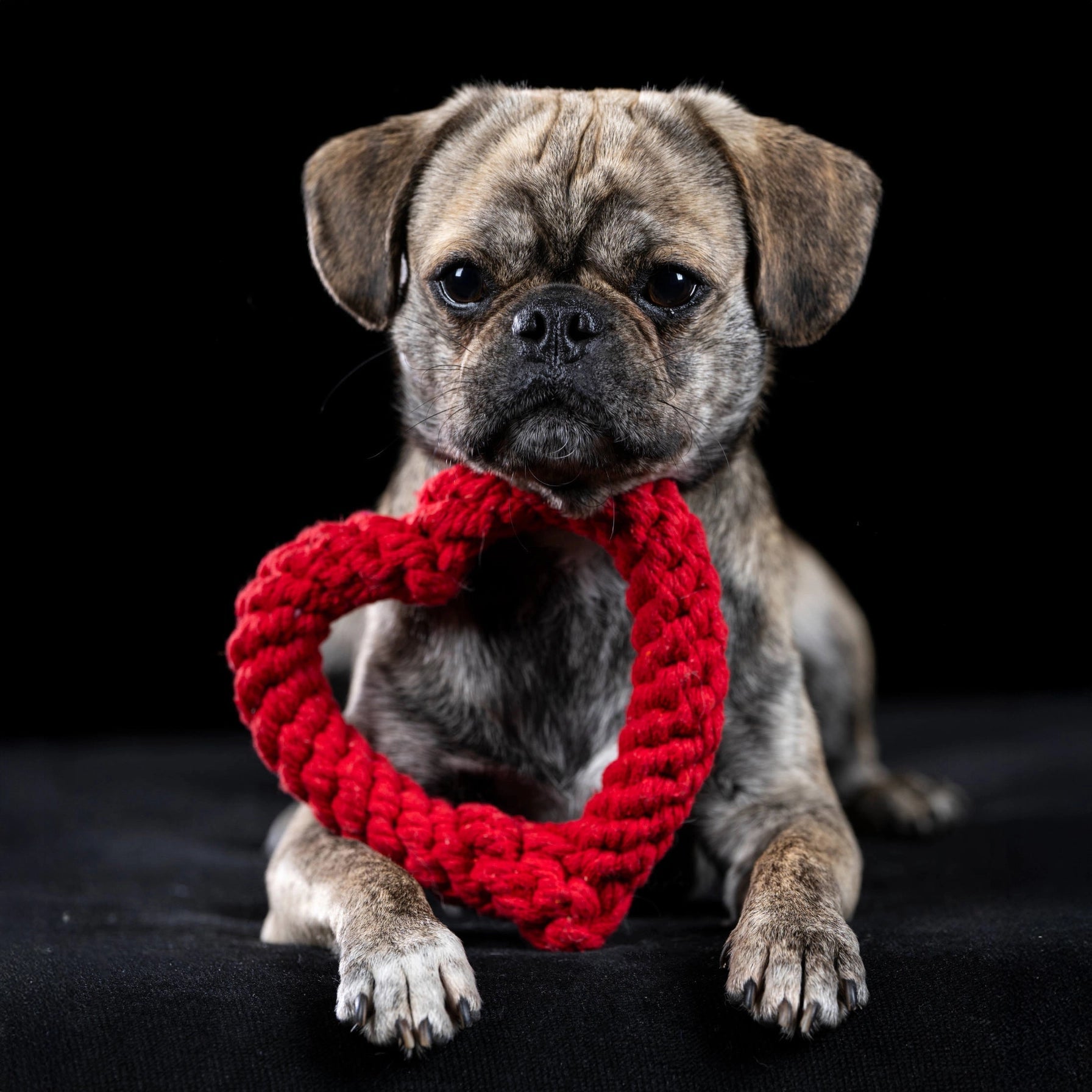 11110 - Hertha sydämen muotoinen lelu - Mini - Muotitassu