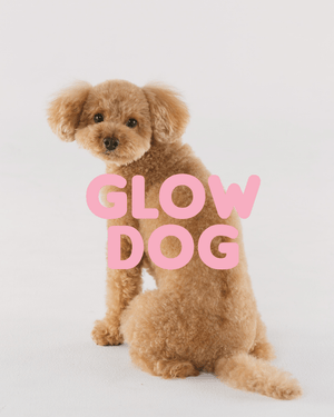 Villakoiranpentu ja Glow Dog -vitamiinishampoo