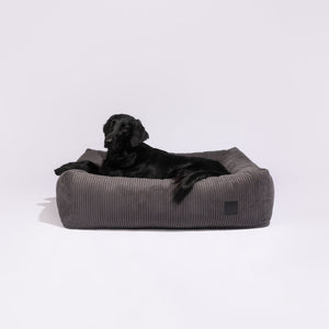 PDRPI05683S - Dream - Vakosametti - Anthracite - Muotitassu
