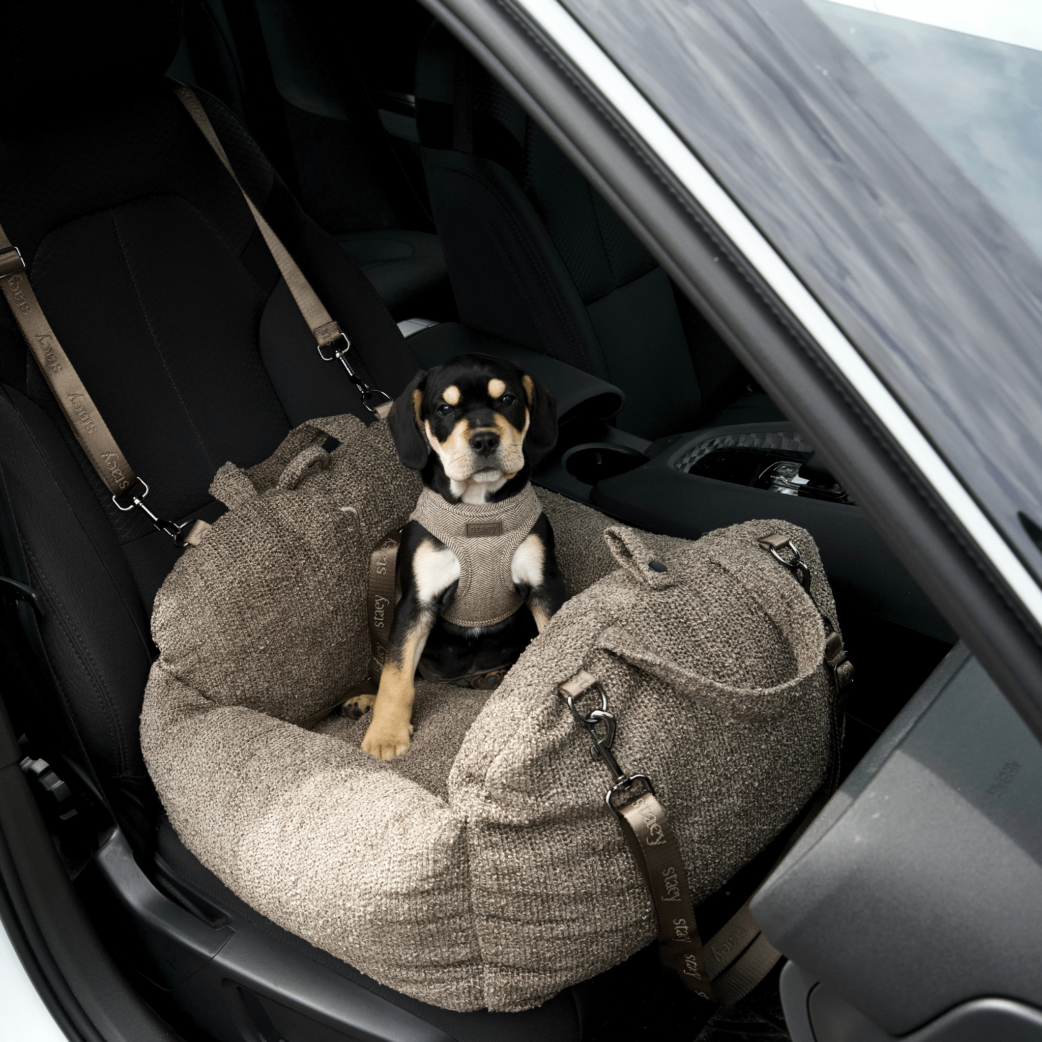 Tova 2-in-1-Autositz für Hunde - Chestnut Bouclé