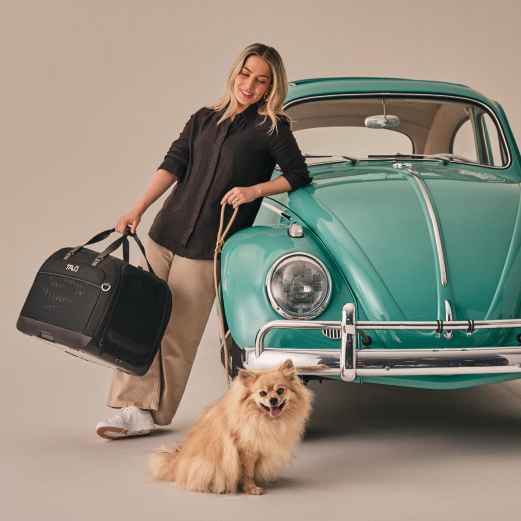 TC2417AAONX000 - Hendrick - Lemmikin ISOFIX turvaistuin ja kantolaukku - Onyx - Muotitassu