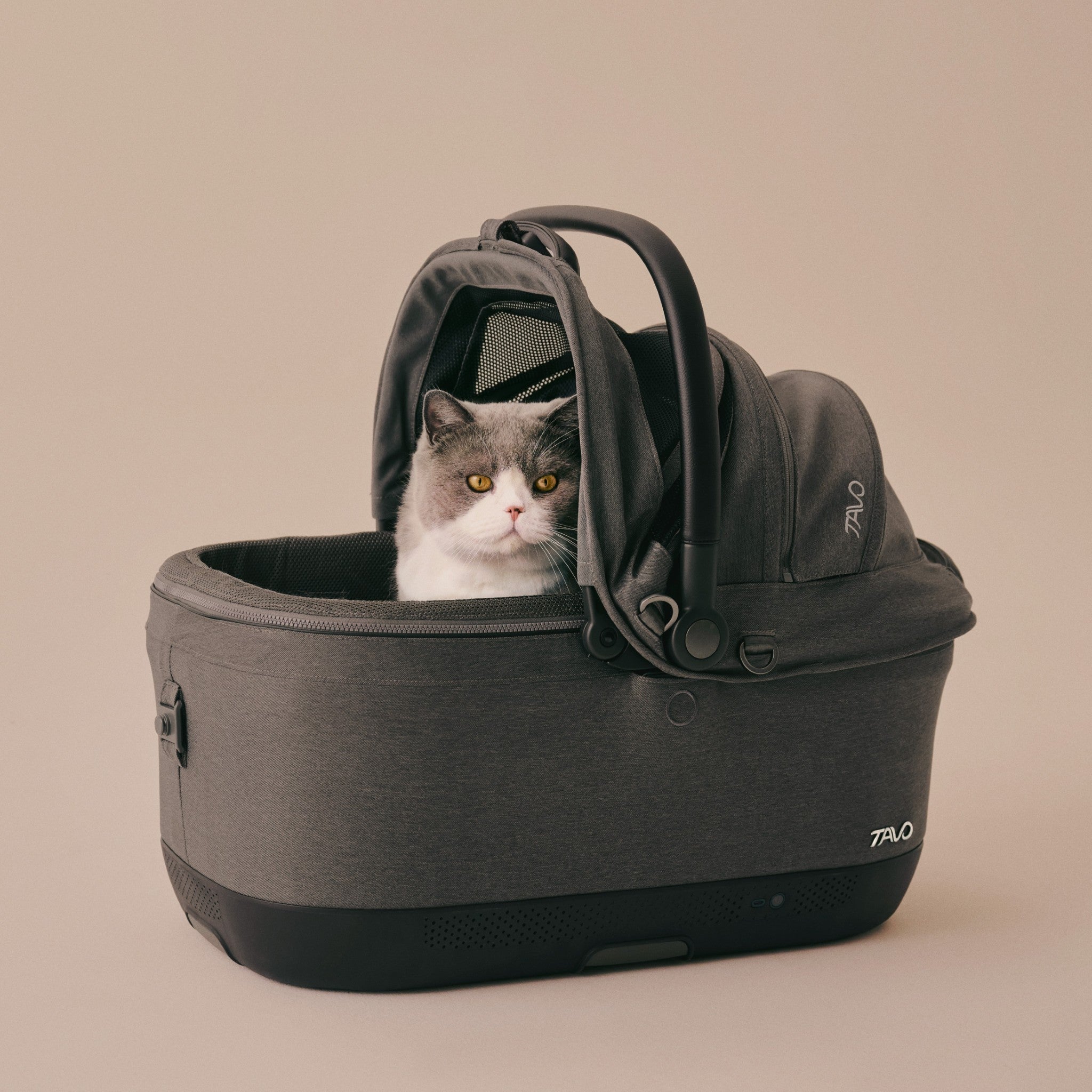 TC0010AAFAW000 - Maeve ISO Wind - Viilentävä lemmikin ISOFIX turvaistuin - Fawn - Muotitassu