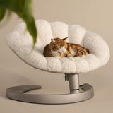 PSHPI05714S - Shell - lemmikin sänky ja lepotuoli - Muotitassu