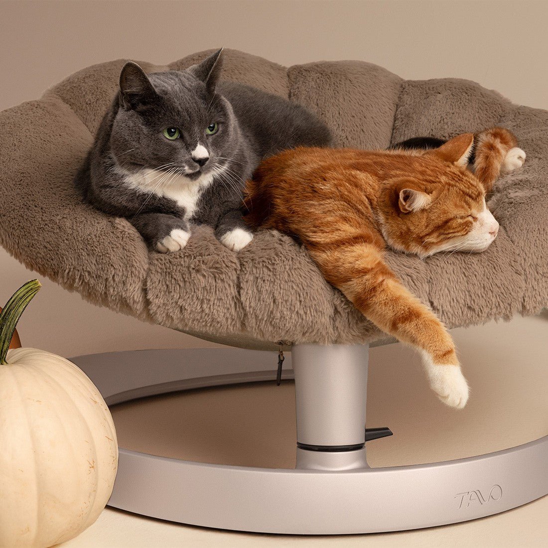 TW0013AALAT000-4 - Shell - lemmikin sänky ja lepotuoli - Caramel - Muotitassu