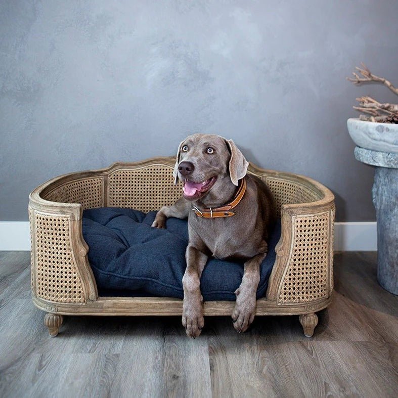 Lord Lou Arthur woven design bed - Deep Blue - Muotitassu