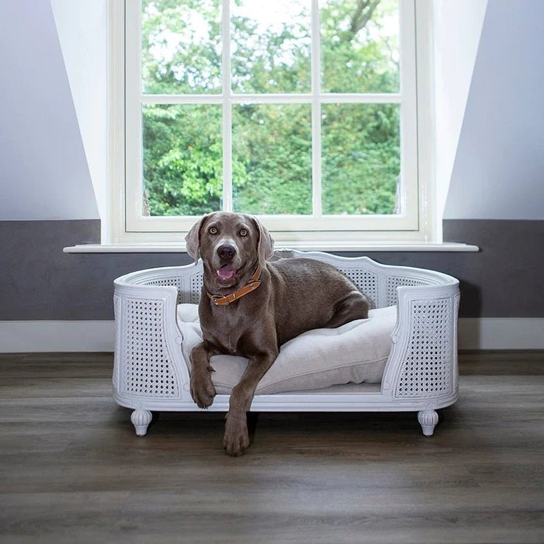 LORD LOU ペットベッドArthurケーン編みエクリュxリネンエクリュ Lord Lou Arthur upholstered design bed - Linen ecru - Muotitassu