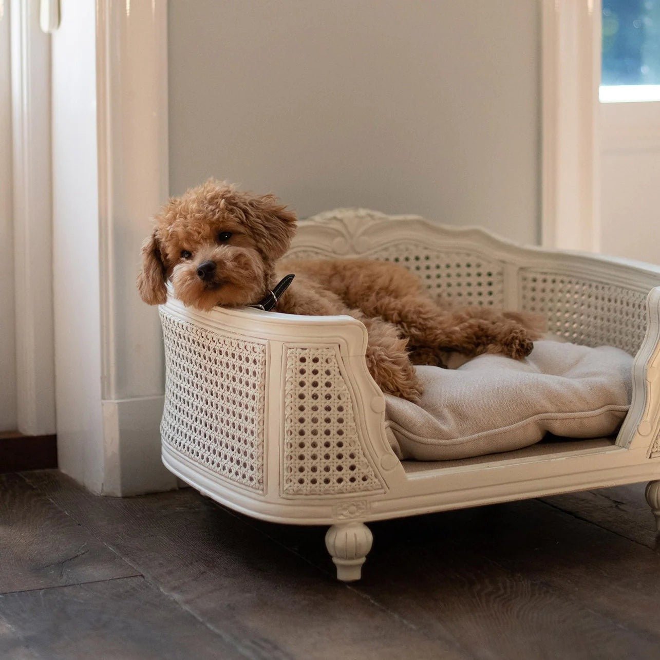 LORD LOU ペットベッドArthurケーン編み リネンエクリュ Lord Lou Arthur upholstered design bed - Linen ecru - Muotitassu