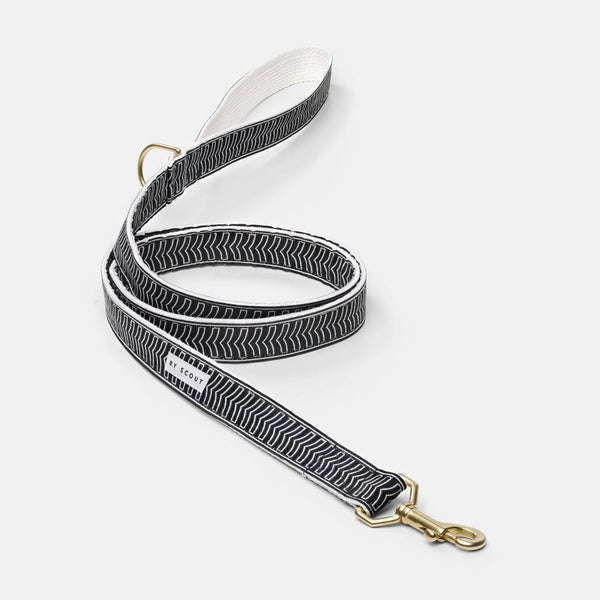 Chef 'l Bark Dog Collar in Black