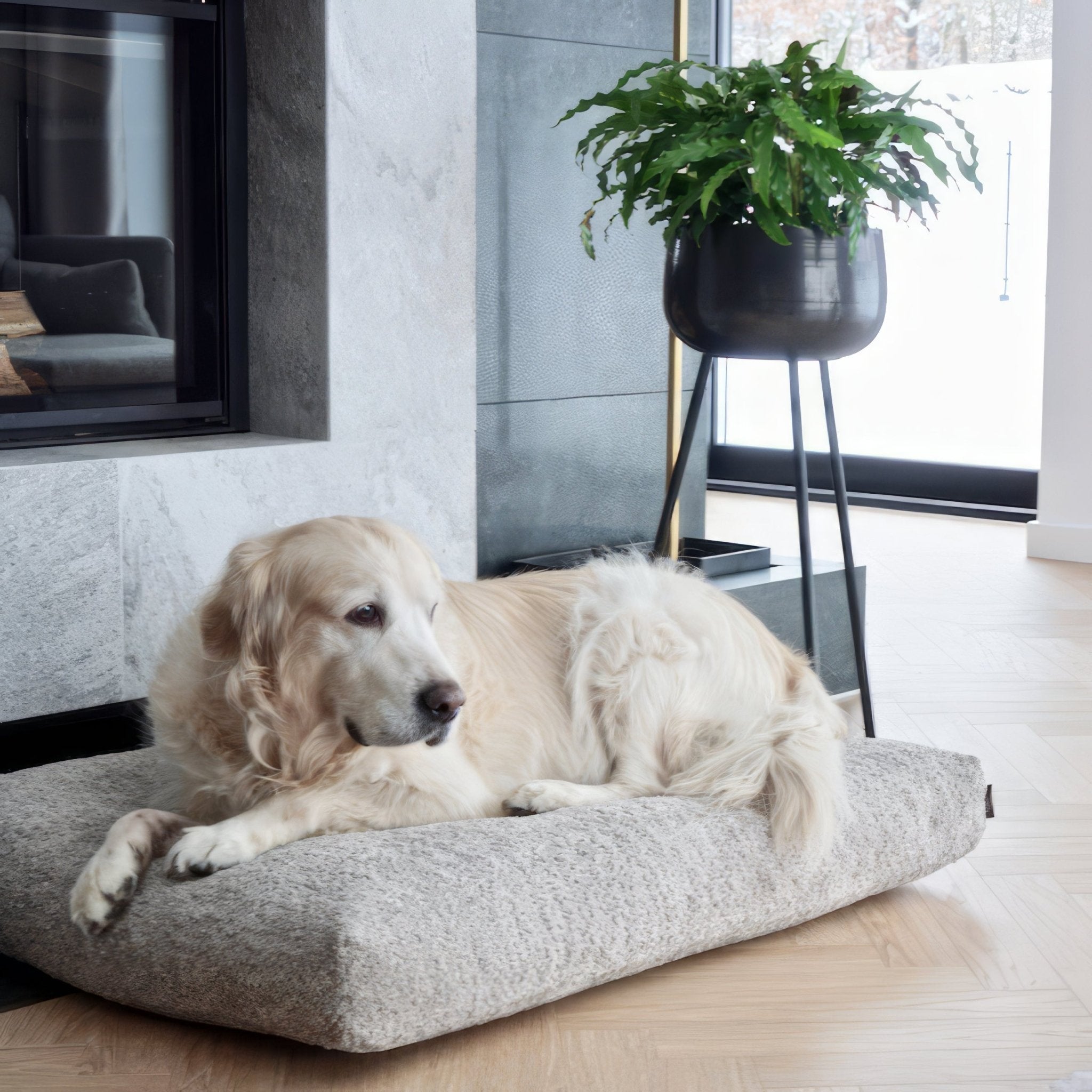 LABBVENN MØVIK DOG CUSHION グレー Mサイズ 大型犬 楽天市場】ファー
